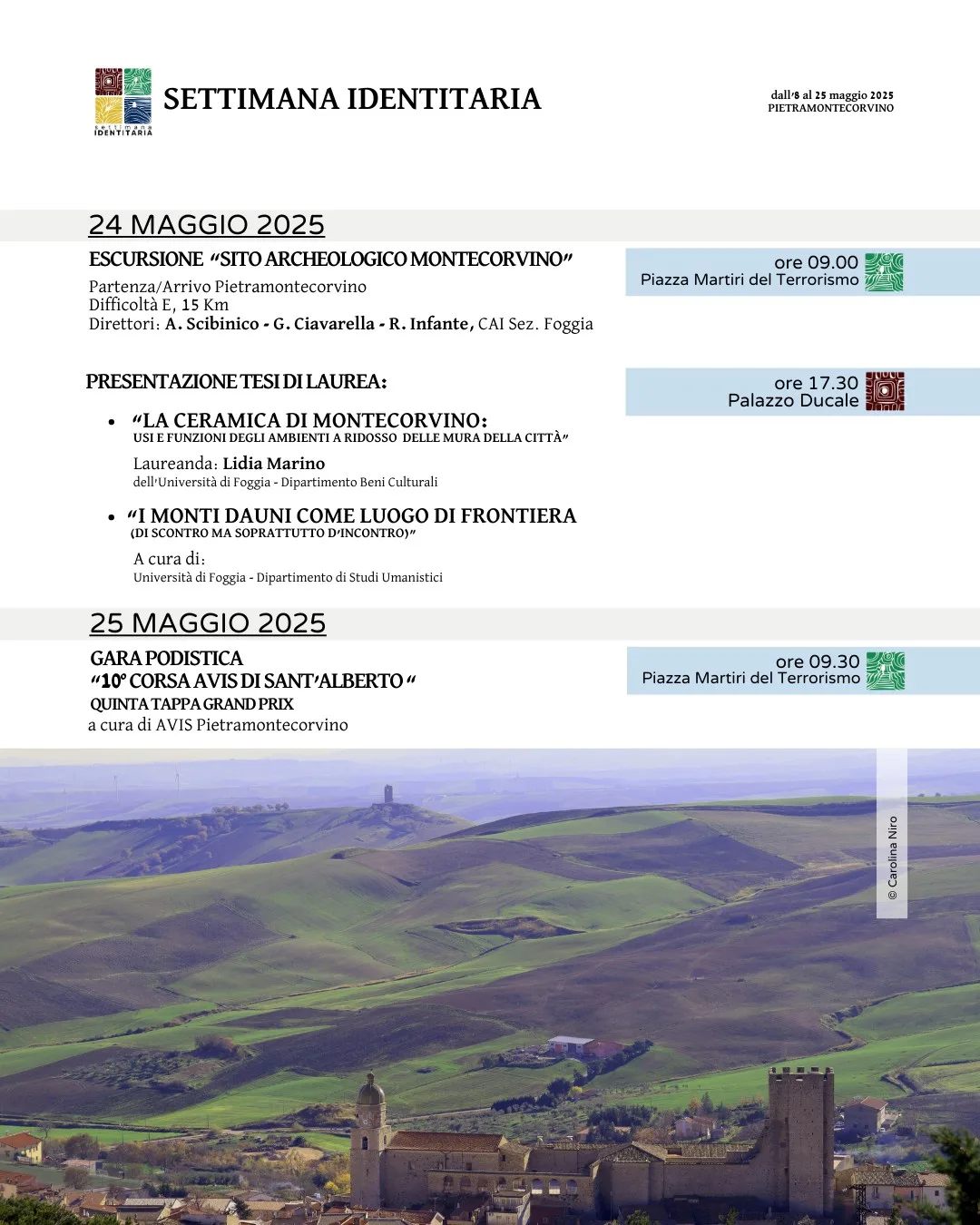 Immagine 6